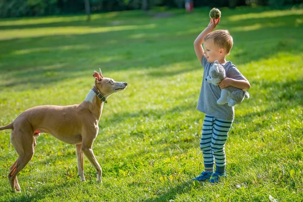 Portrait Jeune Garçon Caucasien Debout Dans Parc Tenant Une Petite — Photo