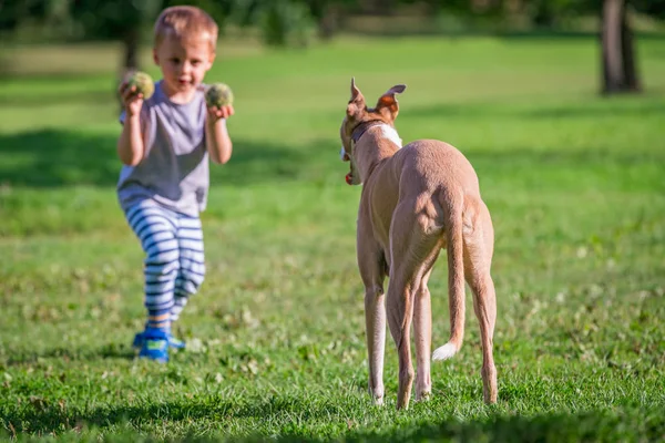 Portrait Jeune Garçon Caucasien Debout Dans Parc Tenant Petites Balles — Photo