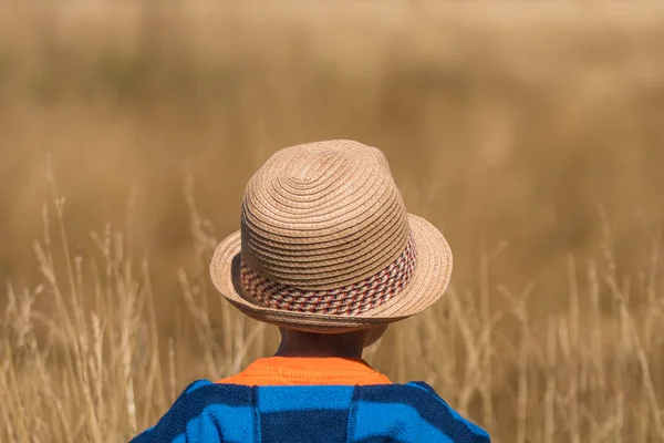 Niño Pequeño Con Sombrero Paja Pie Frente Campo Hierba Amarilla —  Fotos de Stock