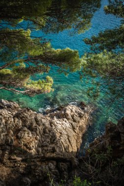 Güzel kayalık Hırvat sahil Dubrovnik, Hırvatistan