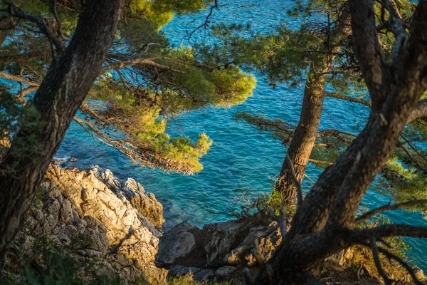 Красиві Скелясті Далматинського Узбережжя Дубровник Хорватія — стокове фото
