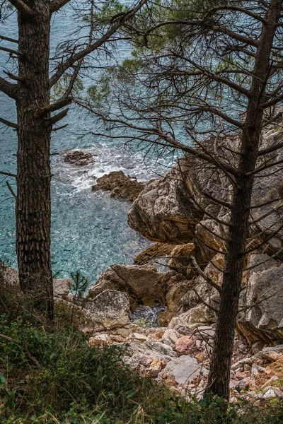 Karadağ Güzel Ilham Verici Sahilde Uzun Boylu Çam Ağaçları — Stok fotoğraf