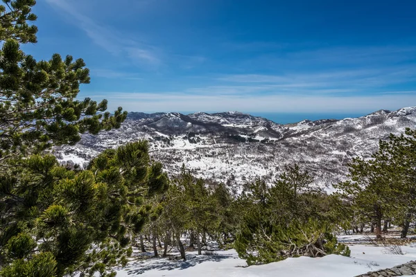 見事な山の冬の風景パノラマ マウント Lovcen Lovcen 国立公園 モンテネグロでの上部から見た — ストック写真