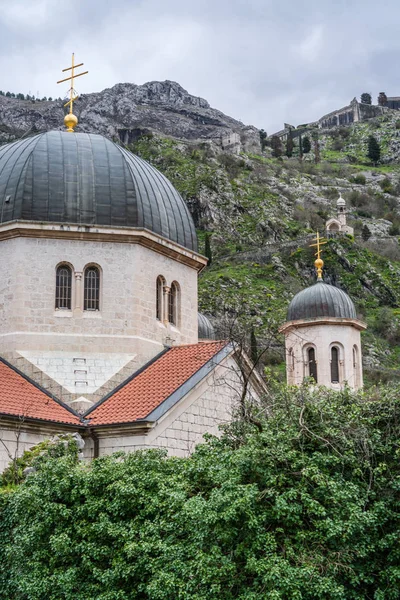 Vista Vertical Las Cúpulas Iglesia San Nicolás Casco Antiguo Kotor — Foto de Stock