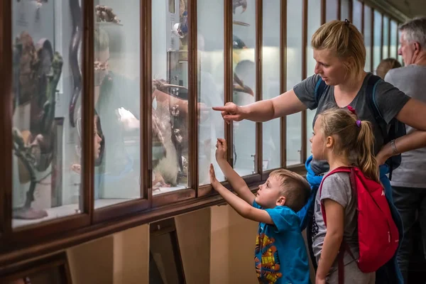 Londýn Anglie Říjen 2018 Matka Dětmi Při Pohledu Displej Horniman — Stock fotografie