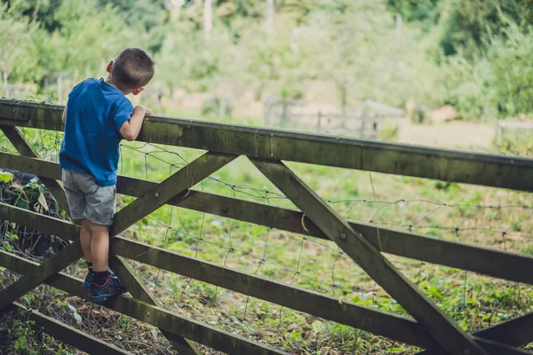 Niño subiendo las puertas de madera —  Fotos de Stock