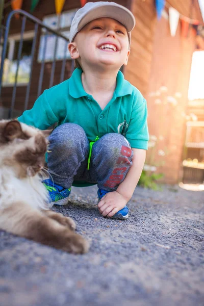 Χαριτωμένο μικρό αγόρι χαϊδεύοντας γούνα γάτας — Φωτογραφία Αρχείου