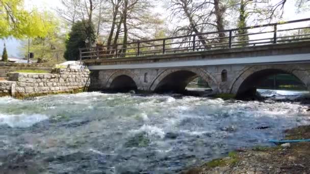 Crni Drim Arroyo Que Fluye Lago Ohrid Sveti Naum República — Vídeos de Stock