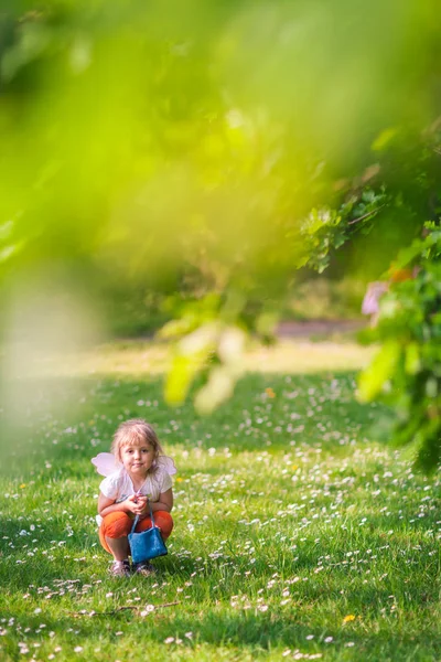 Дівчина з крилами метелика сидить на траві — стокове фото