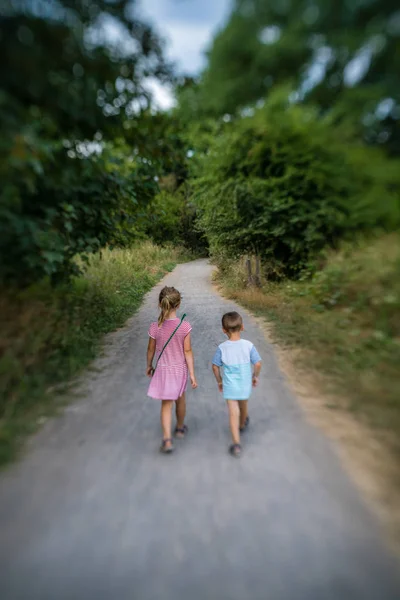 Bruder und Schwester gehen gemeinsam auf Waldweg — Stockfoto