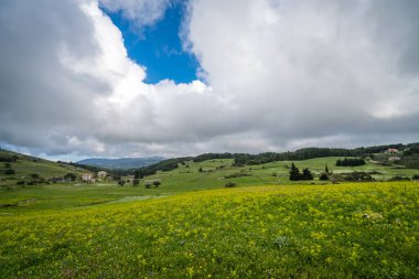 Green countryside of the interior of Zante clipart