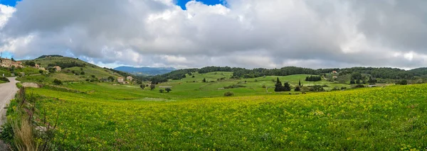 잔테 의 내부의 녹색 시골 — 스톡 사진