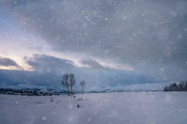 Nieve sobre el paisaje de invierno de montaña —  Fotos de Stock