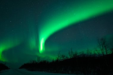 Norveç 'in kuzey ışıkları