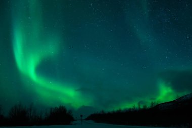 Norveç 'in kuzey ışıkları