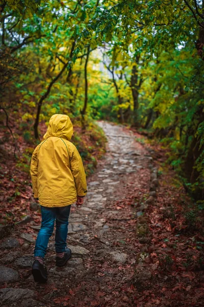Mädchen in gelbem Gebock läuft im Wald — Stockfoto