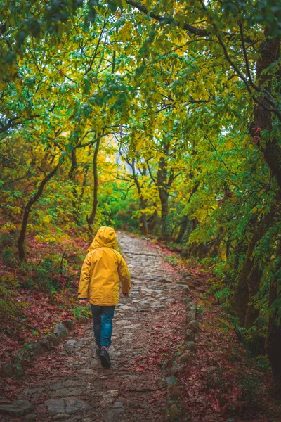 黄色いジャッキの少女が森の中を歩く — ストック写真