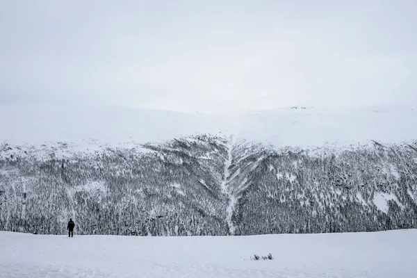 Rodeado por la blancura del invierno —  Fotos de Stock