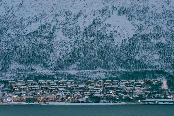 Woonhuizen op een heuvel in Tromso — Stockfoto