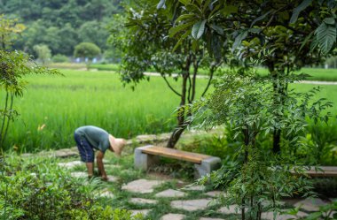 Sahada çalışan adam.