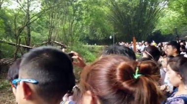 Chengdu, Çin - Temmuz 2019: Dev Panda Sığınağı 'nda akıllı telefonlarıyla sevimli pandaları izleyen ve fotoğraf çeken büyük bir turist topluluğu
