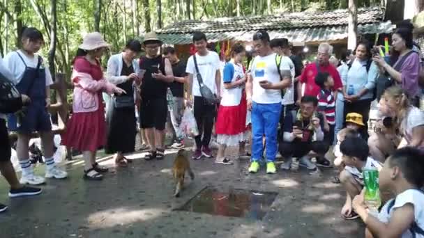 Zhangjiajie Kina Augusti 2019 Massor Kinesiska Turister Kastar Bitar Fruktmat — Stockvideo