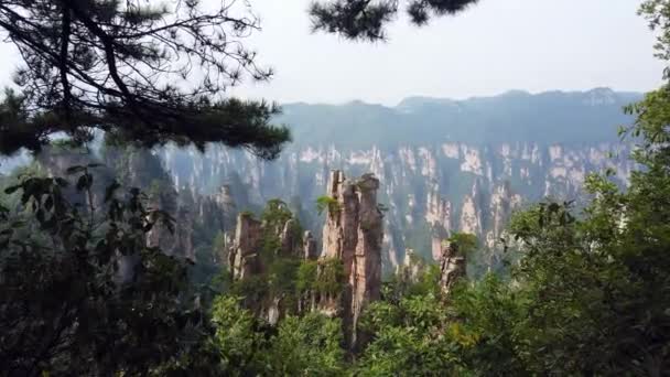 Panoramautsikt Över Stenpelarna Tianzi Bergen Zhangjiajie National Park Som Berömd — Stockvideo