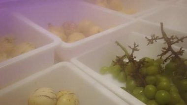 Çin 'in orta kesimindeki Shaanxi Bölgesi, Xian kasabasındaki Müslüman Mahallesi' ndeki bir gıda ambarında taze kesilmiş meyveler sergileniyor.