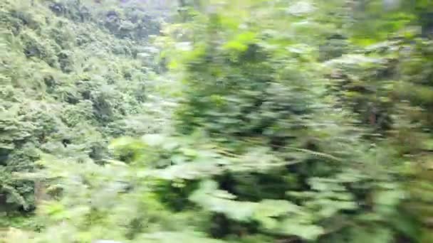 Longue chute d'eau étroite coulant de la montagne Tianmen vue de la fenêtre d'un bus touristique remontant la route sinueuse de 99, parc national de Zhangjiajie, Hunan, Chine 