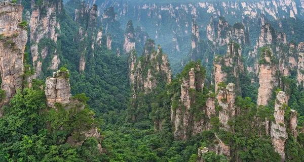 Zhangjiajie Milli Parkı 'ndaki Tianzi dağlarının taş sütunları. — Stok fotoğraf