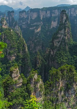 Büyüleyici 'den görünen dikey karst sütun kaya oluşumları