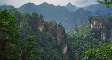 Zhangjiajie 'deki Tianzi dağlarının taş sütunları.