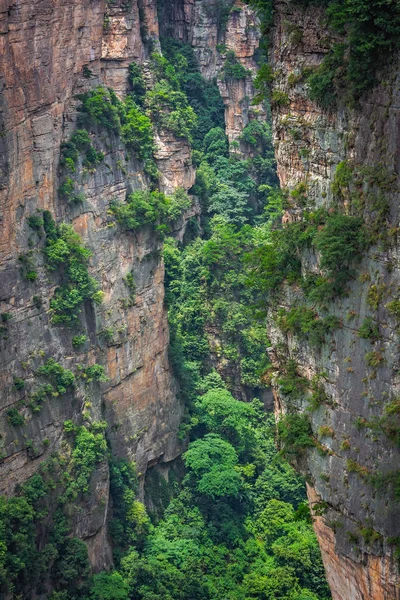 Vista da plataforma panorâmica sobre a Grande Ponte Natural — Fotografia de Stock