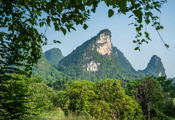 Prachtig Groen Weelderig Dicht Karst Berglandschap Yangshuo Provincie Guangxi China — Stockfoto