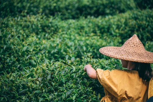 Yangshuo China Agosto 2019 Mulher Chinesa Vestindo Chapéu Tradicional Chinês — Fotografia de Stock