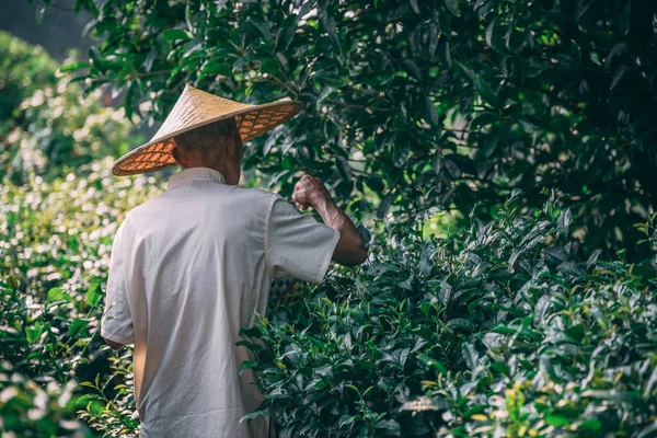 Yangshuo China Agosto 2019 Homem Chinês Vestindo Chapéu Tradicional Chinês — Fotografia de Stock