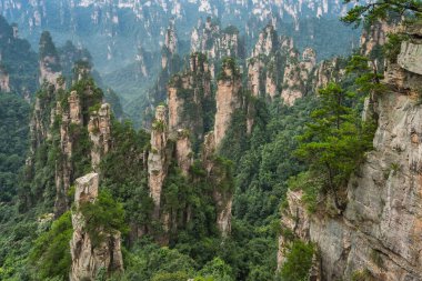 Zhangjiajie Ulusal Parkı 'ndaki Tianzi dağlarının taş sütunlarının panoramik manzarası, ünlü bir turistik eğlence merkezi, Wulingyuan, Hunan Eyaleti, Çin