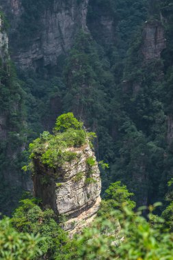 Büyülü teras perspektifinden görülen dikey karst sütun kaya oluşumları Avatar Dağları doğa parkı, Zhangjiajie, Çin