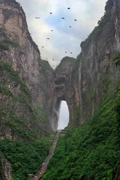 Stormo Uccelli Che Sorvolano Sacra Montagna Tianmen Estate Parco Nazionale — Foto Stock