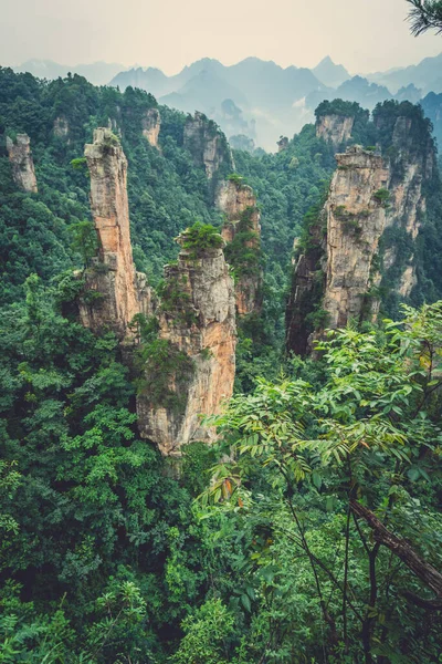 Panoramisch Uitzicht Stenen Pilaren Van Het Tianzi Gebergte Zhangjiajie National — Stockfoto
