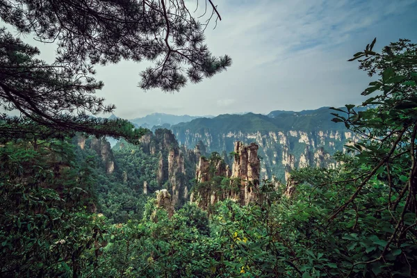 Prachtige Rotspilaren Van Tianzi Bergketen Avatar Bergen Natuurpark Zhangjiajie China — Stockfoto