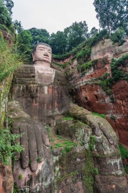 Leshan, Çin - Temmuz 2019: Tang Hanedanı sırasında 713 ile 803 yılları arasında inşa edilmiş 71 metrelik taş heykel olan Dev Leshan Buda 'nın başı ve gövdesinin yakın çekimi. Minjiang, Dadu ve Qingyi nehirlerinin kesiştiği yerde.