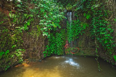 Küçük bir şelale, Çin 'in Sichuan eyaletindeki Leshan' daki dev Buda Parkı yolunda bir gölete dökülüyor.