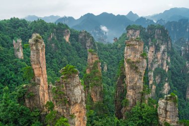 Tianzi sıradağlarının çarpıcı kaya sütunları Avatar Dağları doğa parkı, Zhangjiajie, Çin