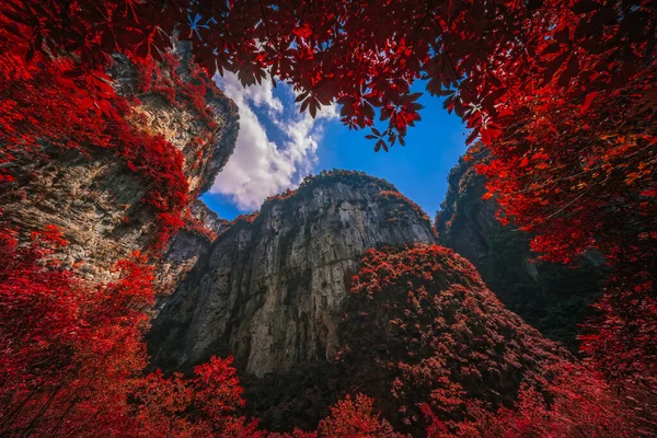 Autumn Red Leaves Landscape Massive Vertical Rock Walls Longshuixia Fissure — Stock Photo, Image