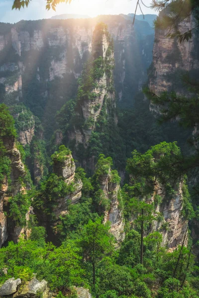 Вертикальні Карстові Колони Скелі Видно Точки Зору Зачарованої Тераси Гірський — стокове фото