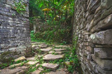 Çin 'in Yangshuo yakınlarındaki yemyeşil tropikal ormanın ortasındaki eski bir köyün terk edilmiş evleri arasında beton adımlardan oluşan bir yol.