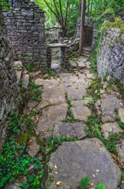 Çin 'in Yangshuo kenti yakınlarındaki yemyeşil tropikal ormanın ortasında bulunan eski ve eski bir köyün tropikal bitkileri tarafından boş, harap edilmiş ve kaplanmış evleri.