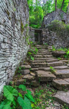 Çin 'in Yangshuo yakınlarındaki yemyeşil tropikal ormanın ortasındaki eski bir köyün terk edilmiş evleri arasında beton adımlardan oluşan bir yol.