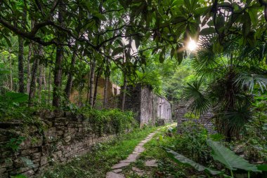 Çin 'in Yangshuo kenti yakınlarındaki yemyeşil tropikal ormanın ortasında bulunan eski ve eski bir köyün tropikal bitkileri tarafından boş, harap edilmiş ve kaplanmış evleri.